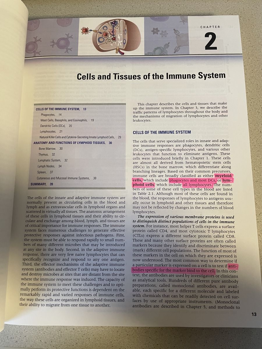 Libri: Abbas - Cellular and Molecular Immunology, 10th Edition – Usato da Sursee venduto da Steffi_2020 2