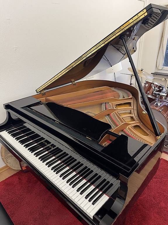 Instruments de musique: Yamaha GP1  – D'occasion à Embrach par CarlosTF 1