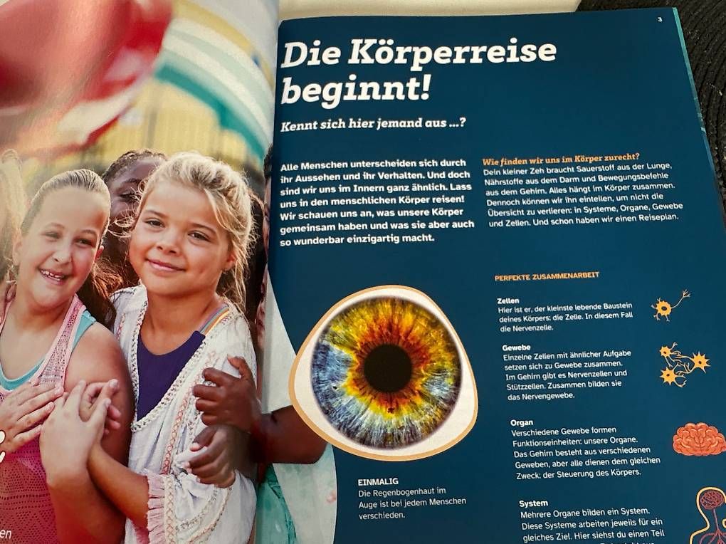 Libri: Buch: Was ist was - Dein Körper – Usato da allschwil venduto da sophie141208 2