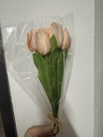 🌷 Künstliche Tulpen | NEU! ✨