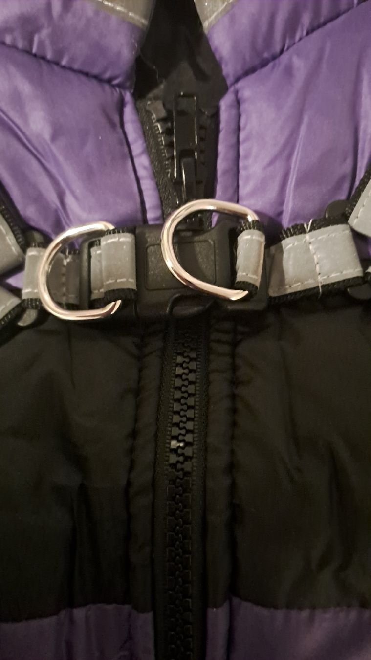 Vêtements: Hundemantel Gr. M – Neuf avec emballage d'origine à Interlaken par swi_2gz8 2