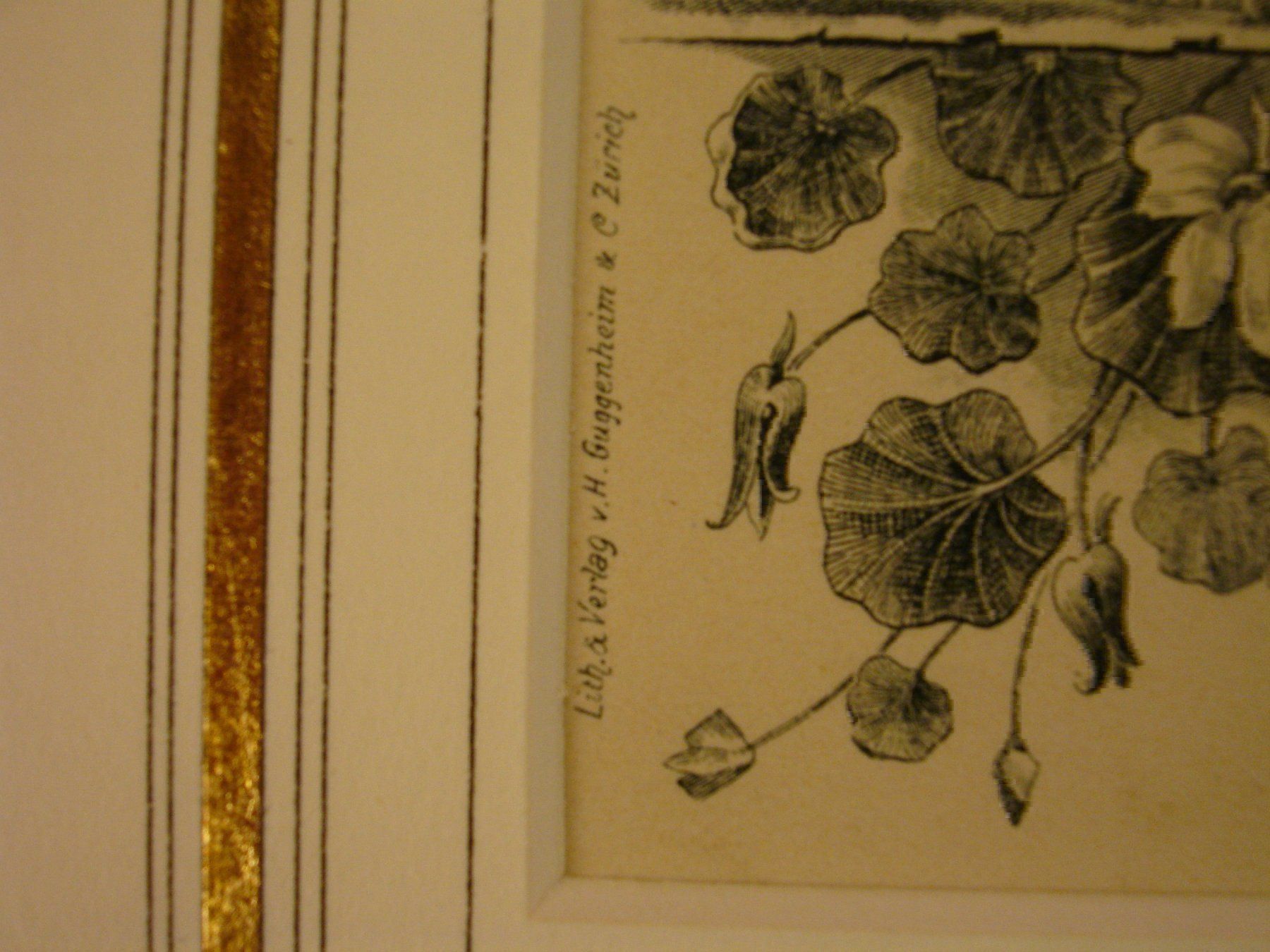 Landkarten & Atlanten: ESCHOLZMATT, FEDERLITHOGRAPHIE UM 1900 – Gebraucht aus Grüningen von Kartensammler 3