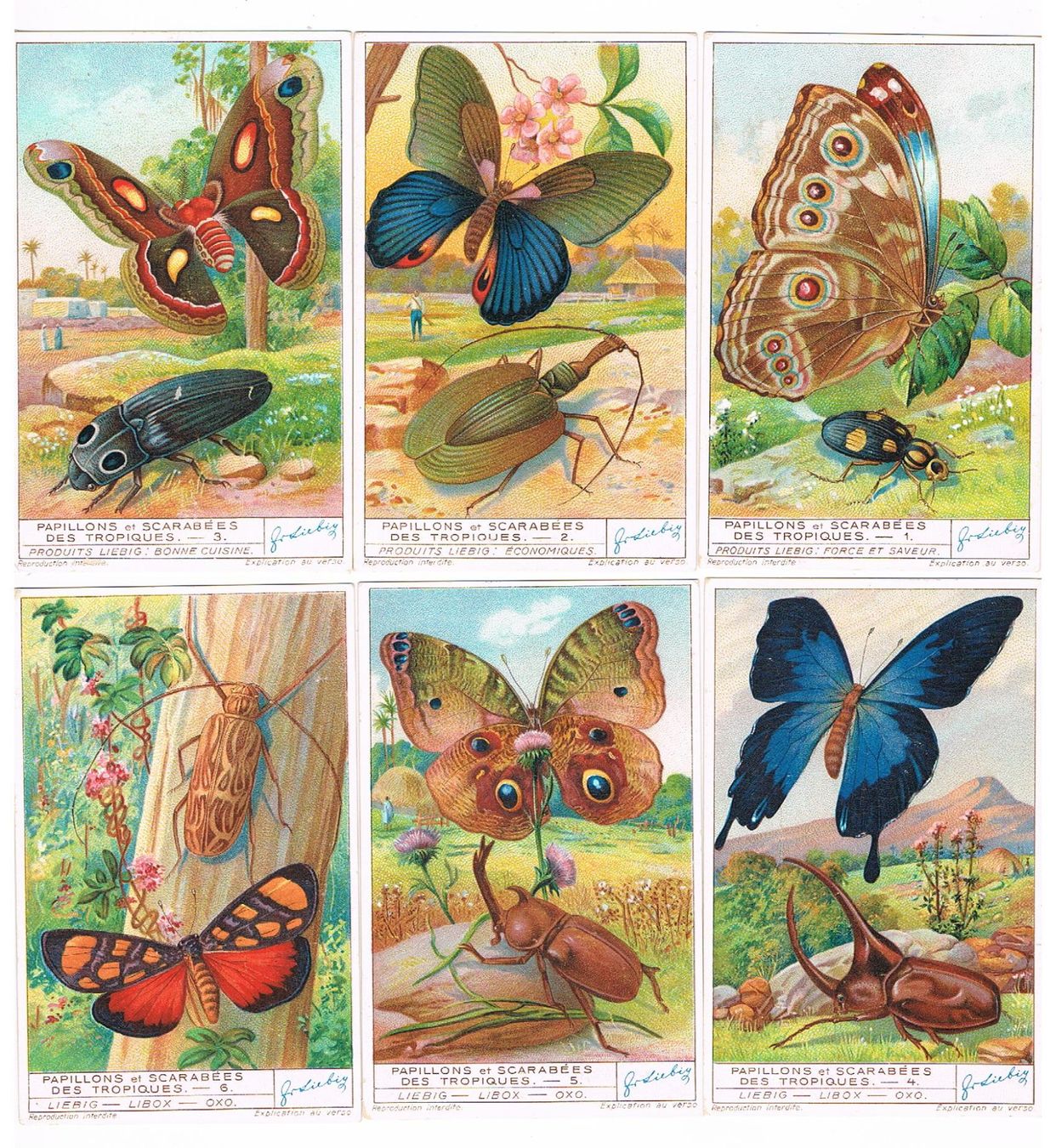 Grafica & Litografie: Cartes publicitaires - Chromo – Usato da Genève venduto da edelweiss1900