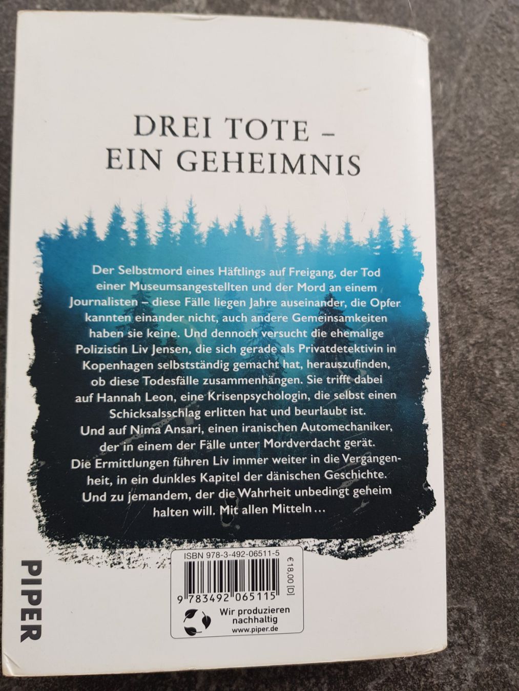 Bücher: GLUTSPUR / Katrine Engberg / Dänemark Krimi – Gebraucht aus Dietikon von marconi07 1