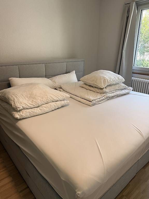 Coperte: Duvet und Kissen – Usato da Bern venduto da jac_5hjp