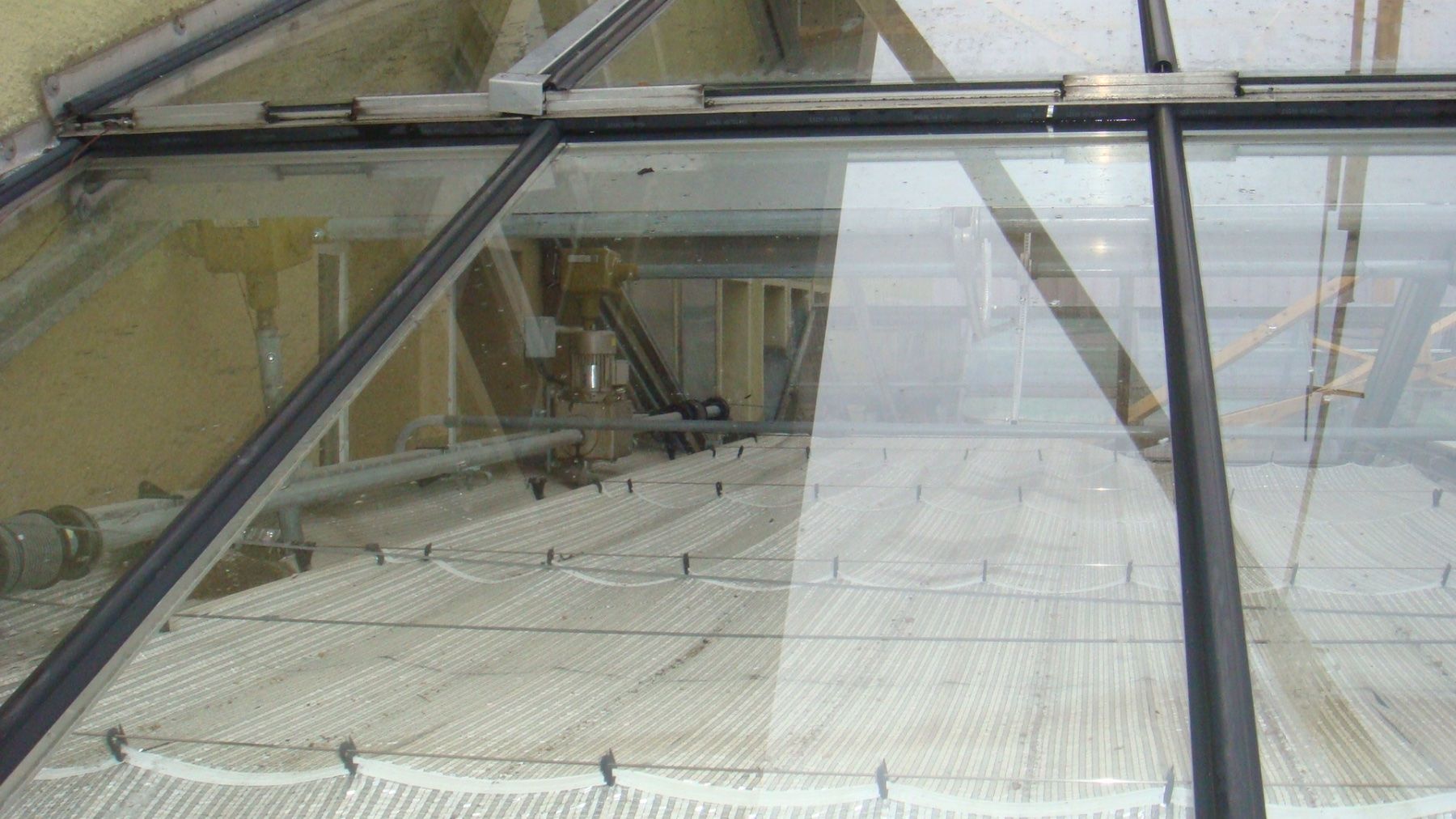 Bicchieri: Treibhaus Kirchhofer 5 x 10 m – Usato da Schangnau venduto da Ananta 3