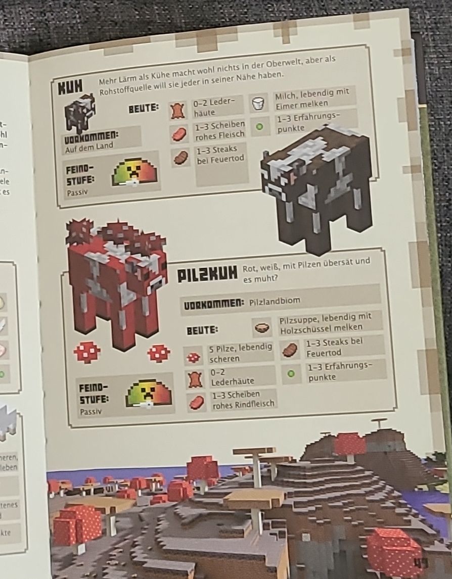 Libri: Minecraft Einsteiger-Handbuch Updated Edition neu – Nuovo (secondo la descrizione) da Teufen AR venduto da yan_bx5j 2