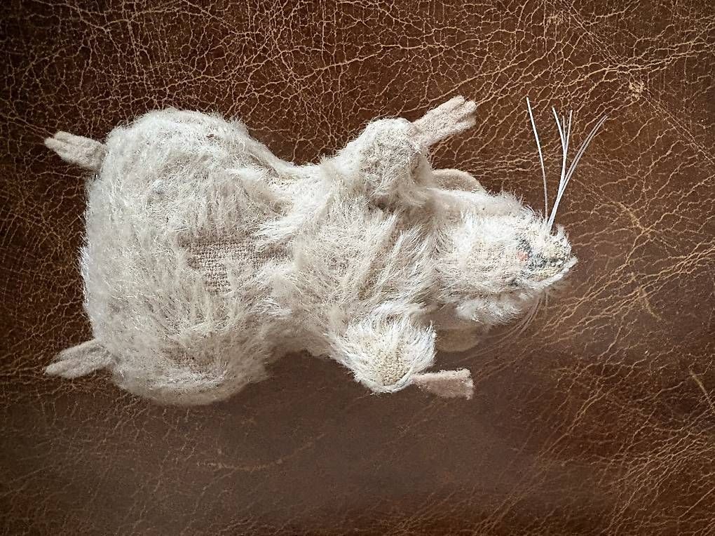 Giocattoli: Steiff Feldmaus "Mousy" - Classic Collection - ca. 2010  – Difettoso da Basel venduto da sin_5npn 3