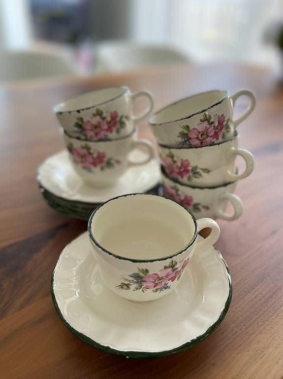 Set di piatti: Wunderschöner Pagnossin Treviso Service 27-teilig – Usato da Birmenstorf AG venduto da Snake-Eyes 2