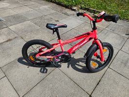 Team Bike CX-16