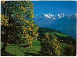 AK Beatenberg, Eiger Mönch Jungfrau, BE - guter Zustand