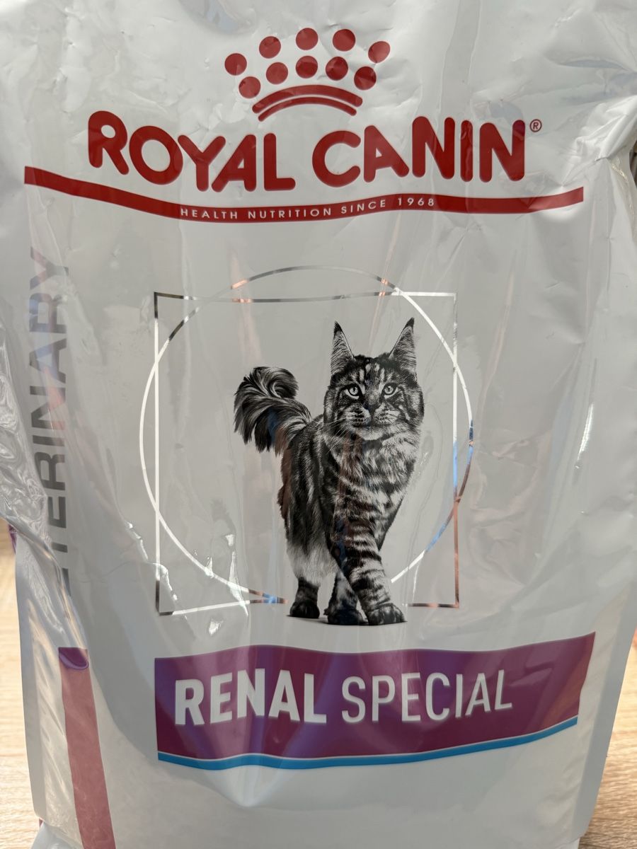 Royal Canin Mangimi: Royal Canin Renal Special Katzenfutter – Usato da Bettwiesen venduto da Chair
