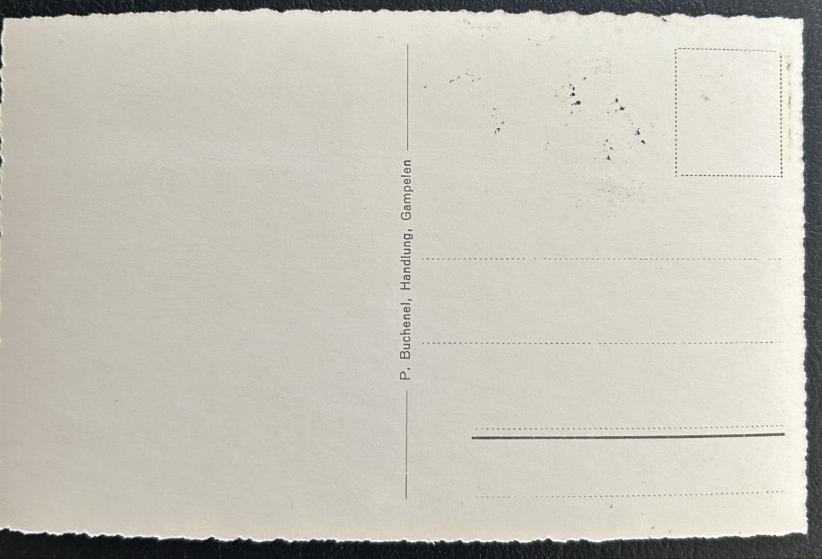 Cartoline postali: AK Gampelen  – Usato da Horw venduto da Tellbub 1