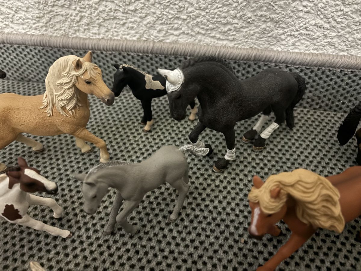 Schleich Statuette: Grosse Sammlung Schleich Pferde – Usato da Uetikon am See venduto da Winnieclaudia 3