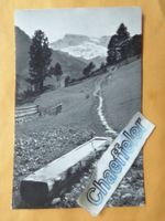 1966 Bei Adelboden. Wildstrubel