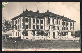 AK Burgdorf, Gymnasium mit Bäumen, 1909