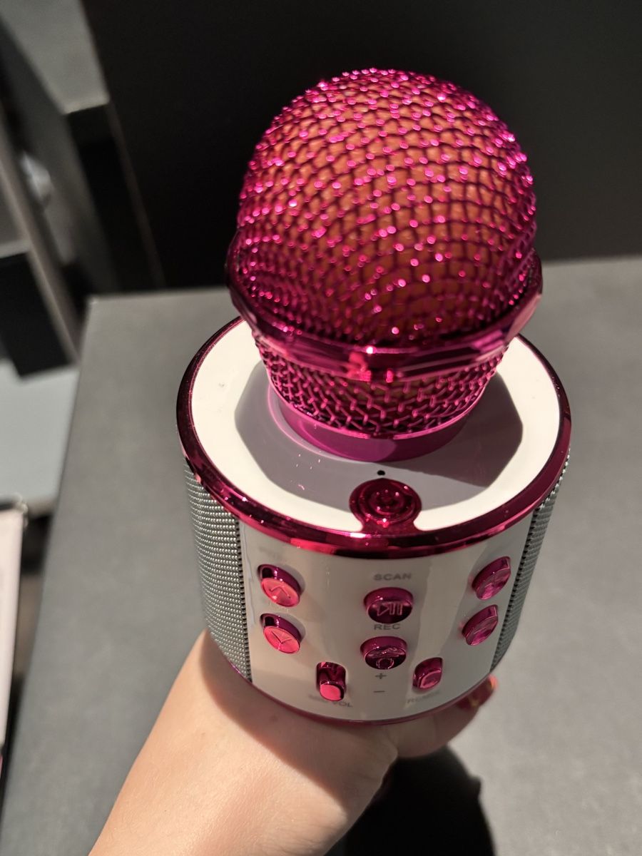 Microfoni: Karaoke Microphone Pink portable new condition – Usato da La Chaux-de-Fonds venduto da joa_jk5g 2