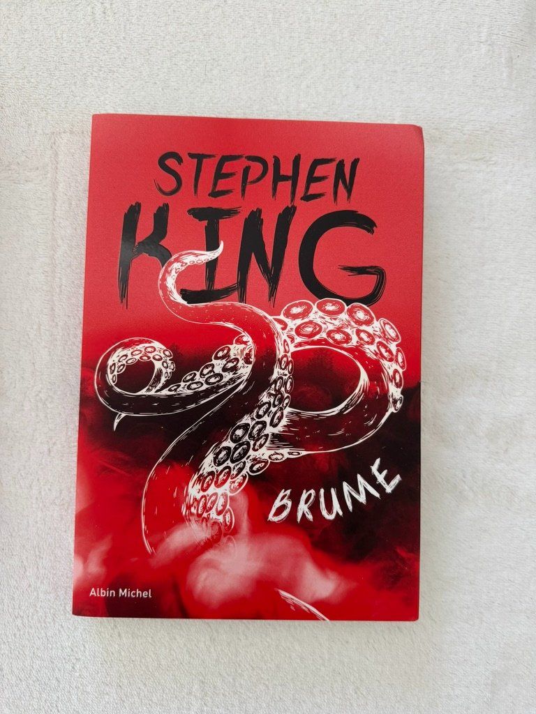 Bücher: Livre Brume de Stephen King – Gebraucht aus Sugiez von Azeros