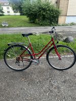 villiger D . velo