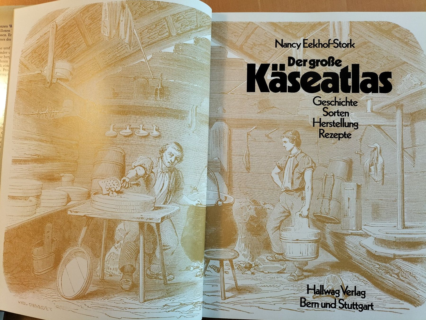 Libri: Der grosse Käseatlas / Rezeptbuch – Usato da Schaffhausen venduto da Bbbaloo 1