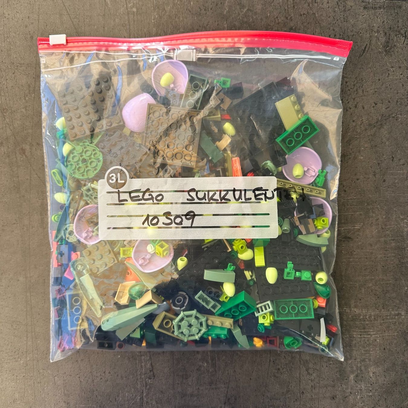 Lego Kit di costruzioni: lego Sukkulenten 10309 – Usato da Bubikon venduto da Grischoni1 2