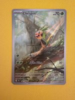 Chespin 087/086 NM