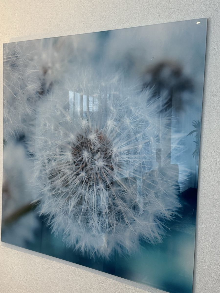 Foto & Immagini: Acrylglasbild 100x100cm – Usato da Buchs ZH venduto da claudiac76 1
