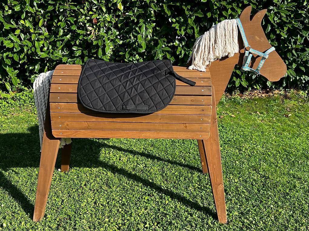 Giocattoli: Cheval en bois – Usato da Anières venduto da Silke.Gutzmann 2