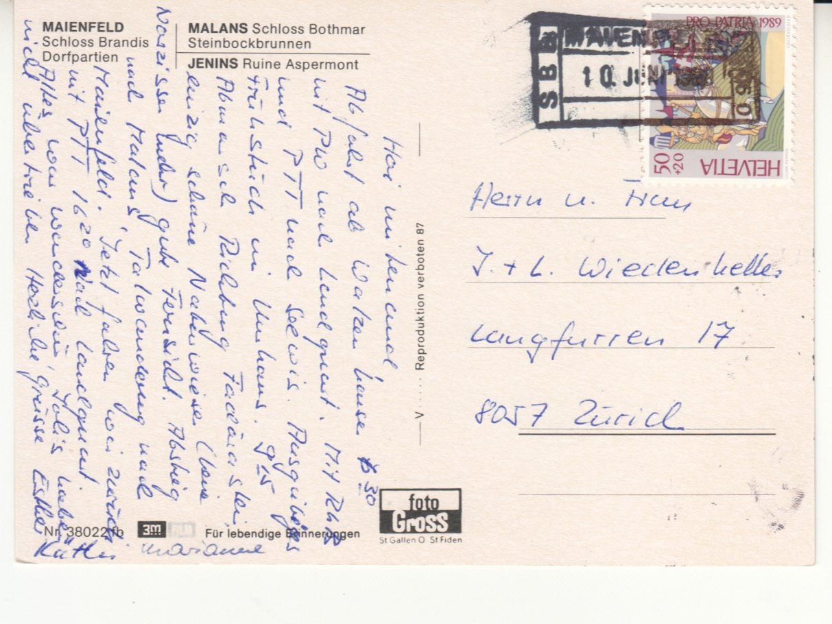 Cartoline postali: Bündner Herrschaft 1989 – Usato da Bürglen TG venduto da StampGraf 1