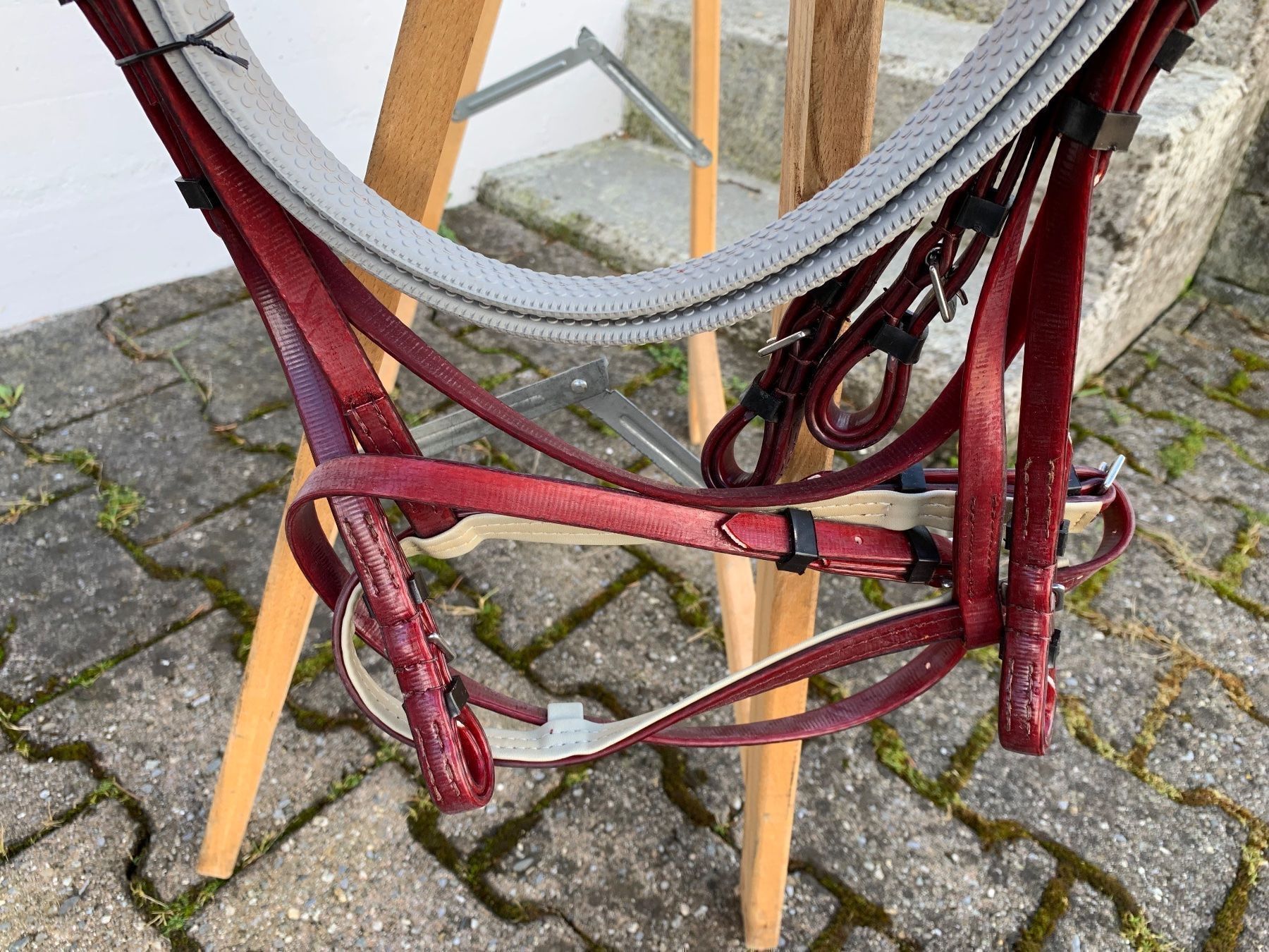 Selle & Accessori: schöner bordeauxroter Reitzaum – Usato da Feldbach venduto da Fea1 5
