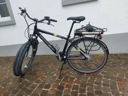 E-Bike Totem City Bike, schwarz mit Gepäckträger