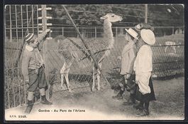 AK Genève, Au Parc de l'Ariana, 1910