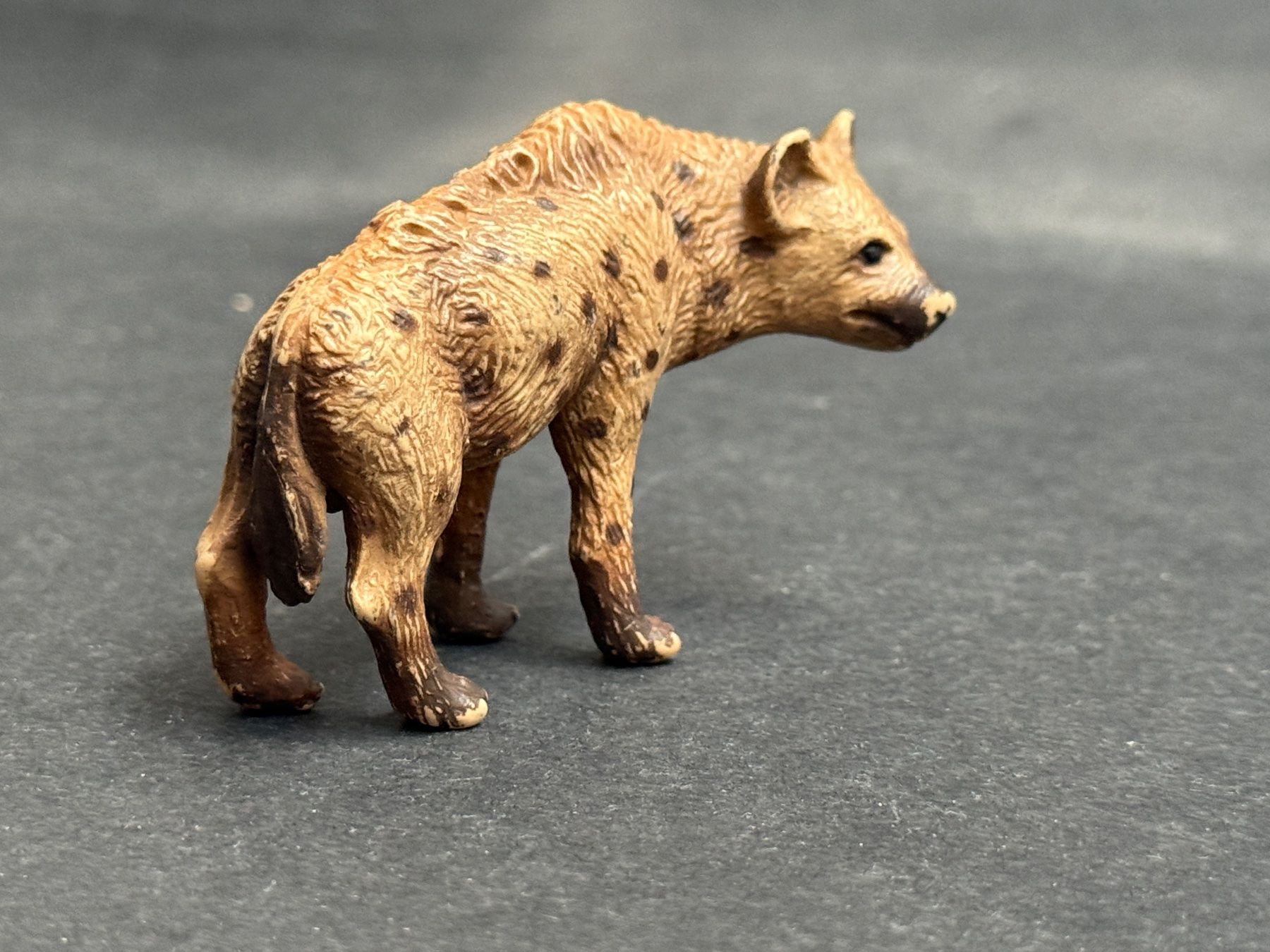 Schleich Figuren: Schleich Hyäne 1996 made in Germany Tüpfelhyäne – Gebraucht aus Ennetbaden von mapa05 2