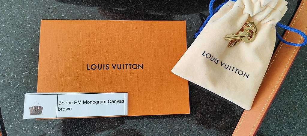 Borse da donna: Louis Vuitton Tasche – Usato da Sempach venduto da den_txx7 4