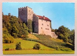 Schloss Habsburg