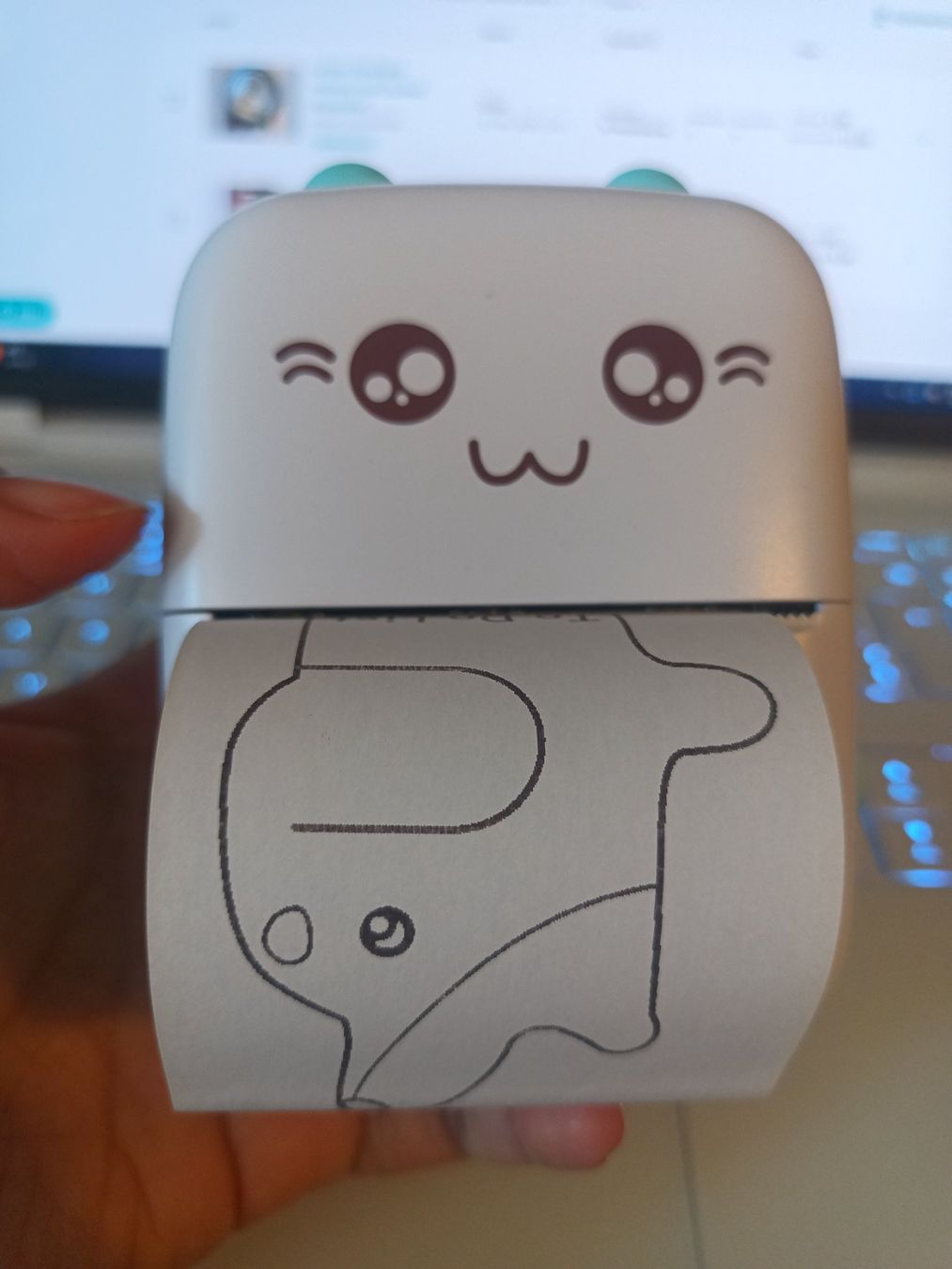Stampanti: Mini Laserprinter – Usato da Bülach venduto da martina2599 1