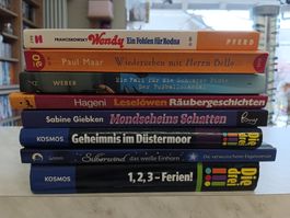 Kinder - Jugendbücher Konvolut