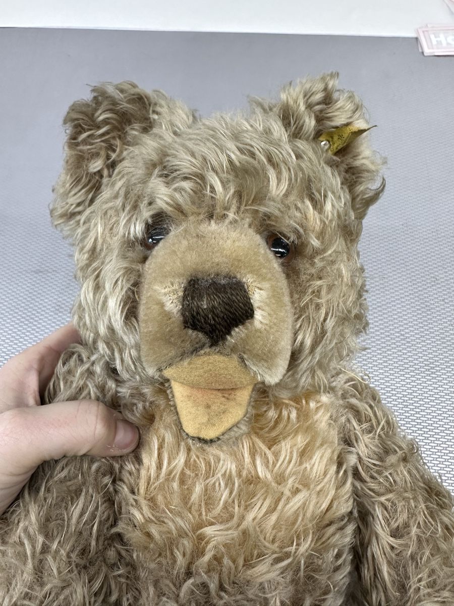 Steiff Giocattoli: Steiff Teddybär, Original – Usato da Montlingen venduto da Kingpisch