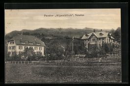 AK Nesslau, Pension Alpenblick, 1917