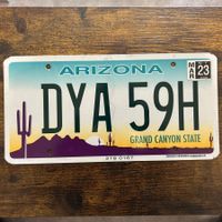🇺🇸 U.S. Autoschild - Arizona DYA 59H - ORIGINAL
