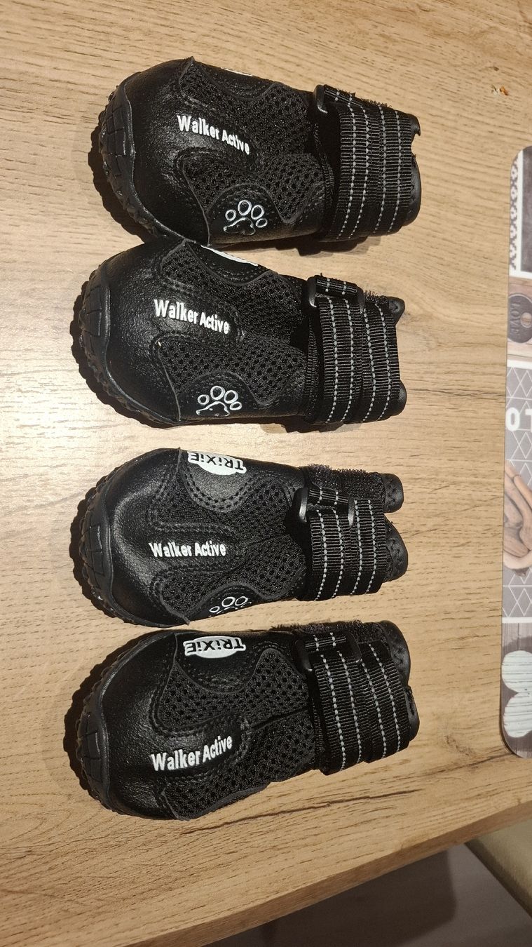 Bekleidung: Hundeschuhe/Pfotenschutz – Neu und originalverpackt aus Aristau von Samuel8910