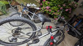 Mountainbike Trek