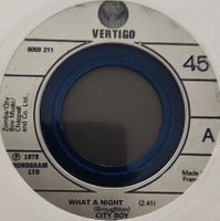 Vinyl-Single City Boy - What A Night