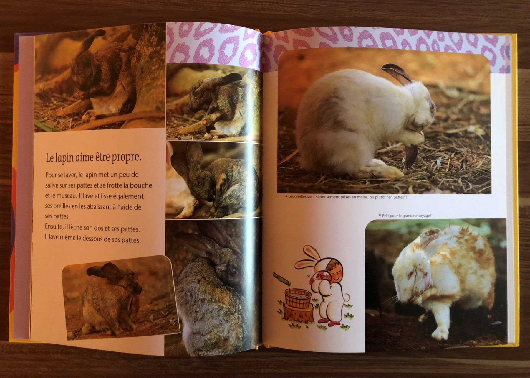 Libri: 8 livres Gros plan sur les animaux – Nuovo (secondo la descrizione) da Fribourg venduto da Alexia90 5