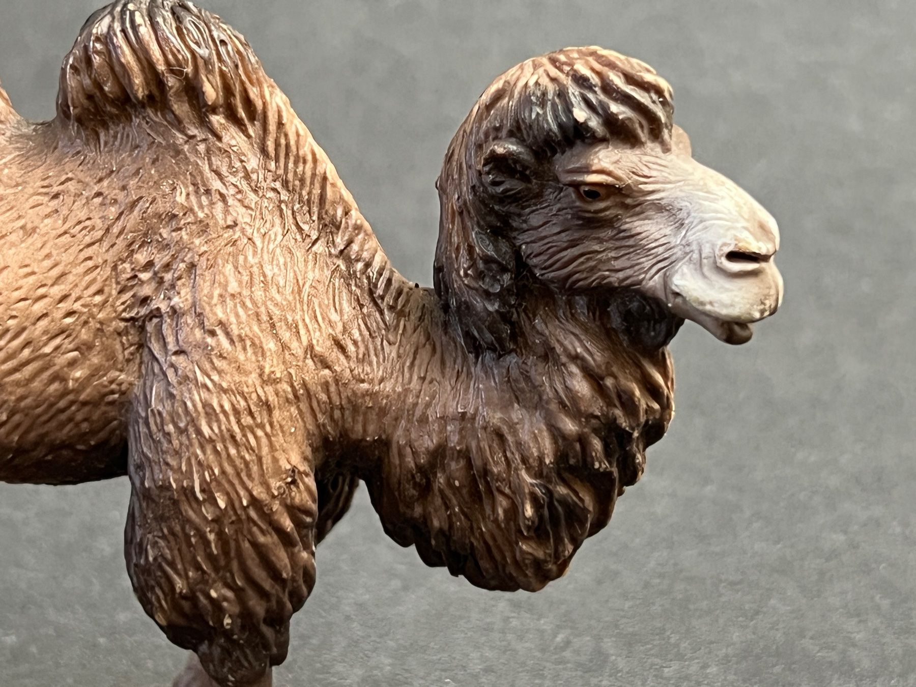 Schleich Statuette: Schleich Trampeltier Kamel Fohlen – Usato da Ennetbaden venduto da mapa05 3