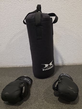 Boxsack Hammer & Boxhandschuhen True Wuge 12oz NEUWERTIG!