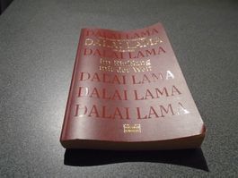 Im Einklang mit der Welt, Der Friedensnobelpreisträger Dalai