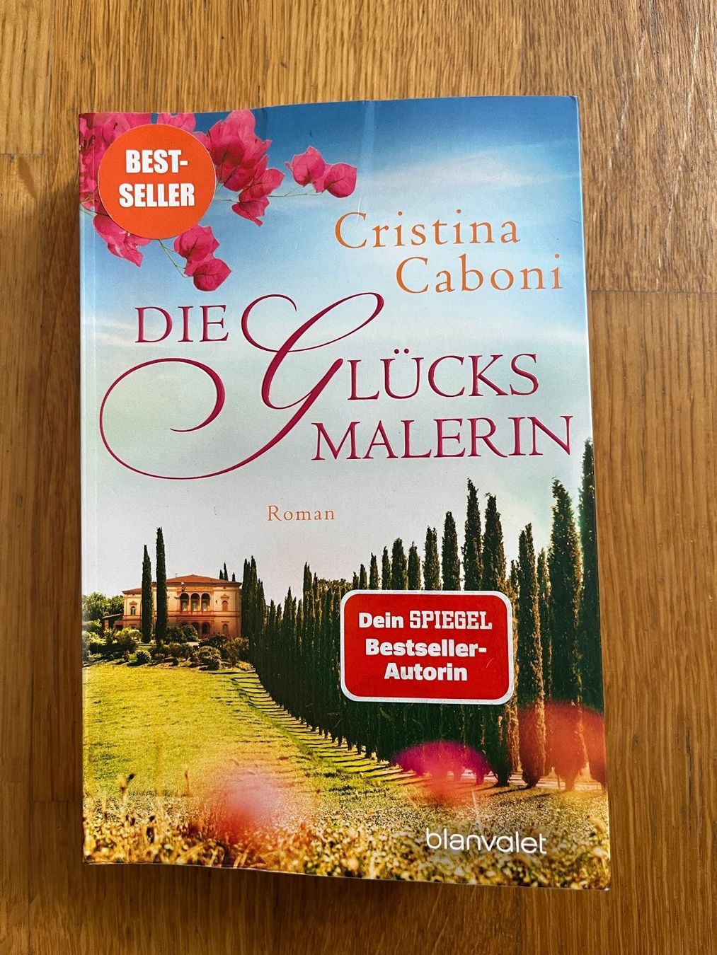 Libri: Taschenbuch "Die Glücksmalerin", C. Caboni – Usato da Grosswangen venduto da Vita500