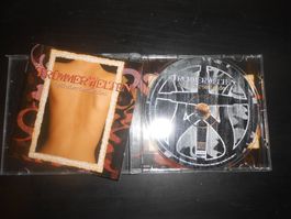 TrümmerWelten – OptimiertesLeiden / 2005