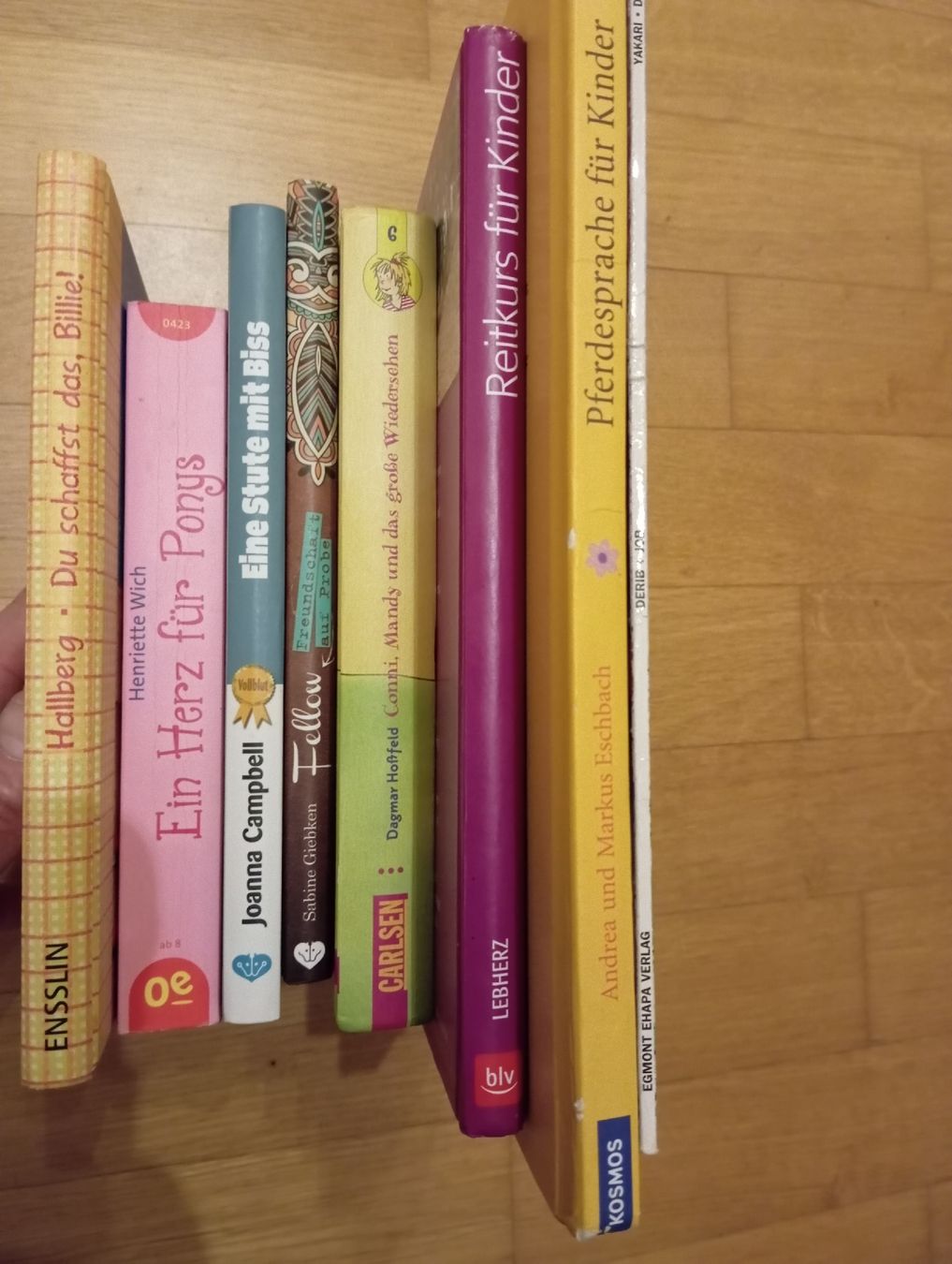 Libri: 8 Pferdebücher für Kinder – Usato da Montlingen venduto da Beanz 9